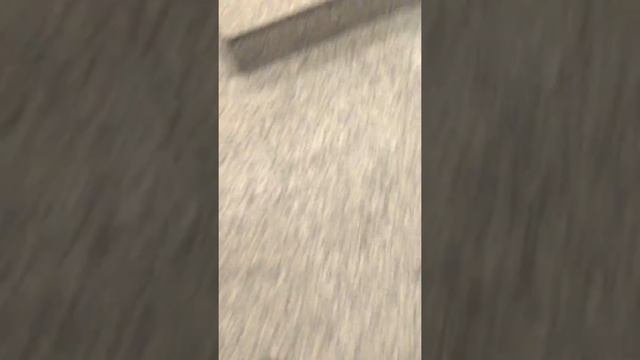 Экскурсия по отелю Rixos Sungate 2 смотреть онлайн