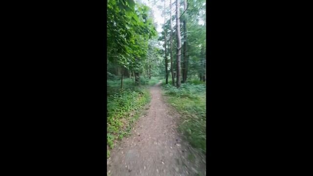 Vingis Parkas - Лёгкая прогулка в Литве - Видео для отдыха смотреть онлайн