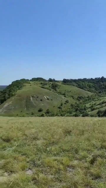 Семейный отдых в Воронежской области! смотреть онлайн