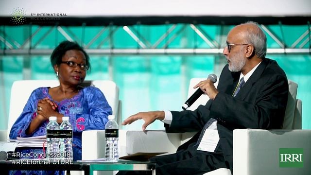 FAO High-level panel discussion: The Future of Rice – Production, Consumption and Trade смотреть онлайн