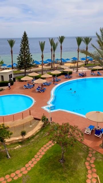 Egypt. Albatros Royal Grand. Sharm el Sheikh. Египет. Шарм эль Шейх. Апрель 2022. Бухта Хадаба смотреть онлайн