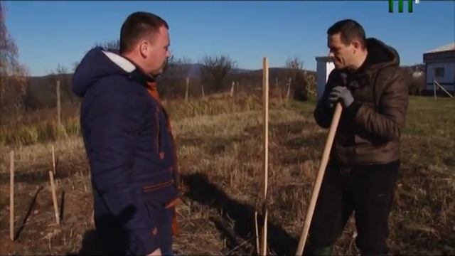 Виноград. "Сам собі господар" (19.11.17) смотреть онлайн