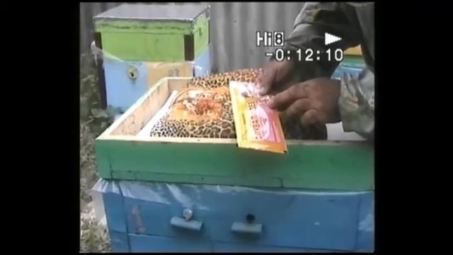РАЗДАЧА СИРОПА В ПАКЕТАХ и СТАВИМ ПЛАСТИНКИ от КЛЕЩА смотреть онлайн