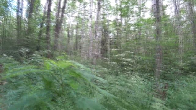 373. Прогулка по западной Эстонии, часть 4. Фантастические ландшафты Soomaa и СПА отель в Пярну. 4К смотреть онлайн