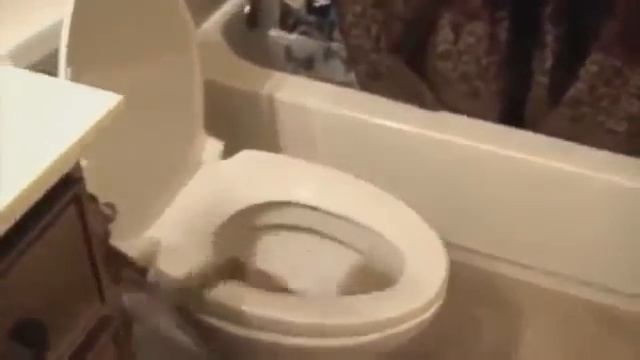 Моё кунг-фу круче, чем твоё кунг-фу)))) смотреть онлайн