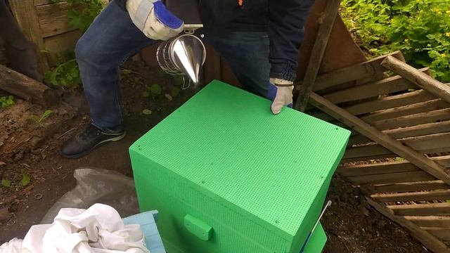 Бджоли залетіли під маску і дали меду. Підкормка бджіл медовим ситом.