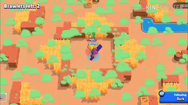 Крутие видео с песинькой смотреть онлайн