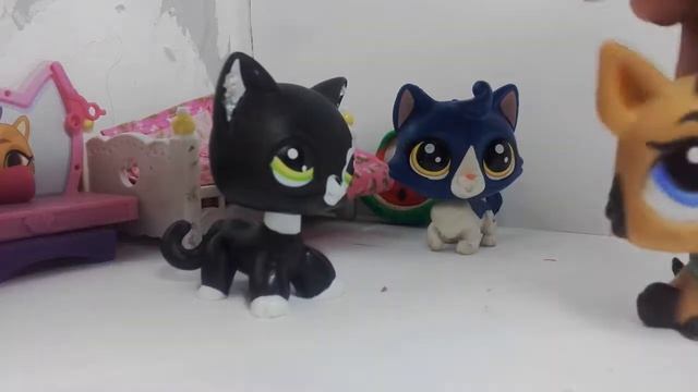 Lps:сериал(любовь не по правилам)1 серия 1сезон (КАФЕ?!) смотреть онлайн