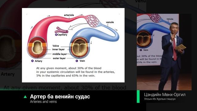 Суралцахуйн мэдрэл судлал смотреть онлайн