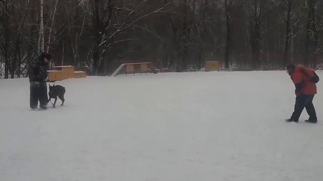 3 подход тренировка Русский Ринг