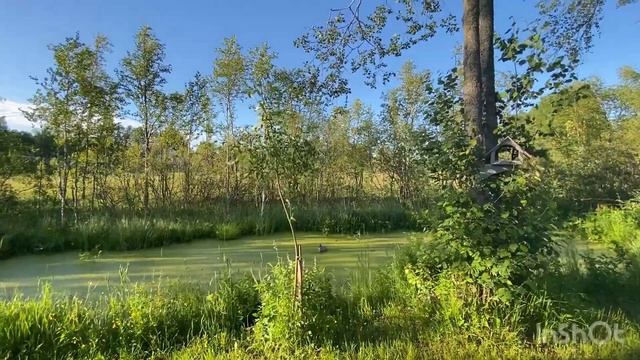 Борисовское Коробицино смотреть онлайн