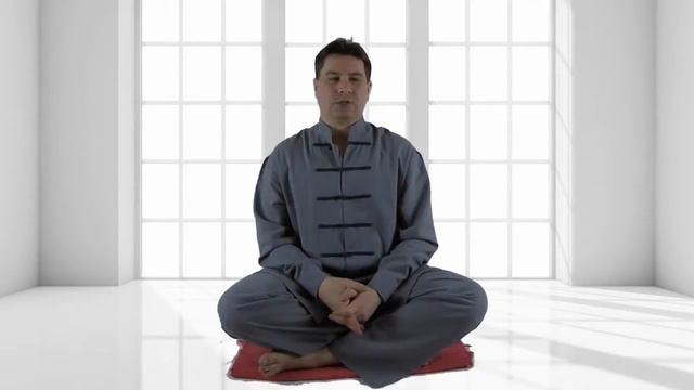 Что такое Сингун