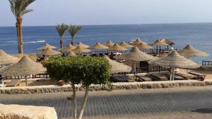 Египет, Hilton Sharks Bay Resort,  1 линия,  Шарм-эль-Шейх,