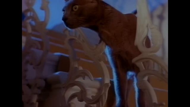 C.C.Catch - Клипы сборник /Видеоальбом/