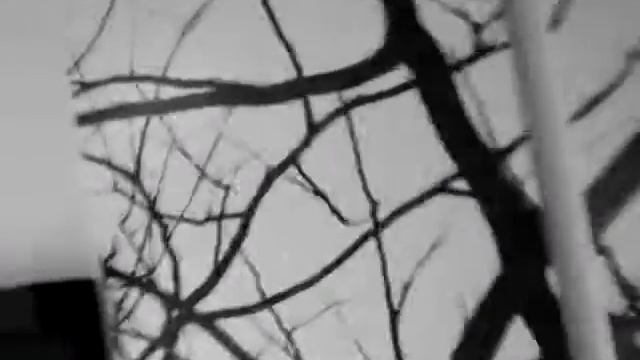Хижина СПА (Трускавец) смотреть онлайн
