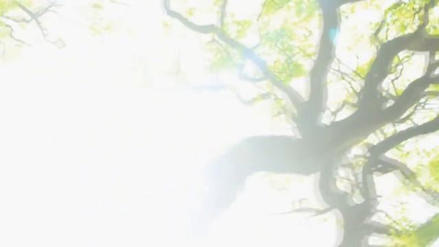 Cesar Correa y el maestro Obander Ceballos. Colore-Art exhibition assembly. смотреть онлайн