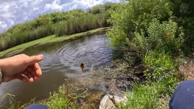 РЫБАЛКА НА КАРАСЯ В КАЗАХСТАНЕ С ПЕТРОВИЧЕМ смотреть онлайн