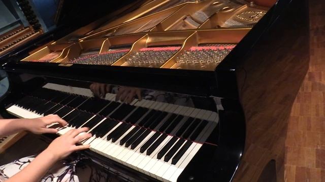 Рахманинов этюд-картина ре-минор смотреть онлайн