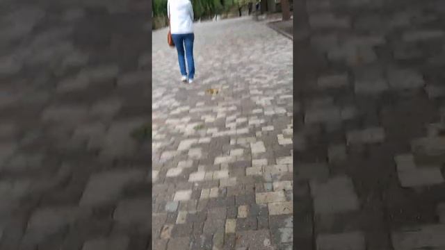 Часть 5 прогулка по Железноводску Железная гора смотреть онлайн