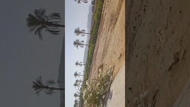 Шарм-эль-Шейх. от Jaz Fanara Resort до Unisharm. 06.10.2022 смотреть онлайн