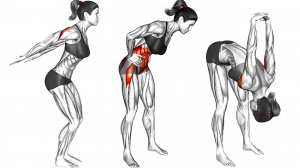 10 упражнений на Растяжку Стоя