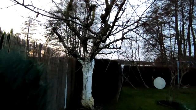 Запущенная черешня смотреть онлайн