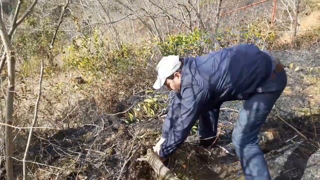 Вартан Батумский - Vartan Batumski смотреть онлайн