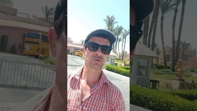 Parrotel aqua park рядом магазины смотреть онлайн