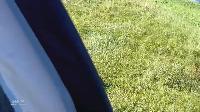 Живем в палатке Outventure Trenton 4 Выдержала ветер с порывами до 15 метров смотреть онлайн