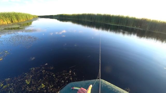 ЭТИ ПРИМАНКИ НЕ ОСТАВЛЯЮТ ШАНСОВ РЫБЕ! ЩУКА КИДАЕТСЯ КАК СУМАСШЕДШАЯ! РЫБАЛКА 2024. смотреть онлайн