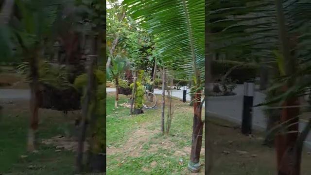 Deevana Patong Resort & Spa  (Пхукет)