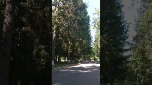 Санаторий КАШИН Тверская обл.