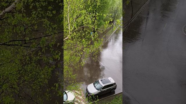 25.04.2025 год. Обещали грозу и объявили жёлтый уровень в Москве 😶🌫️ смотреть онлайн