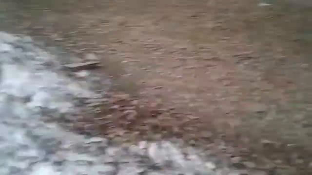 ВЛОГ 18+ кровь смотреть онлайн
