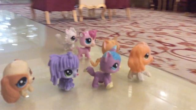 LPS Сериал: 🏝,,Петы в Турции‘‘🏝 1 Episode ( 1 серия ) смотреть онлайн