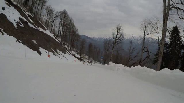2024-03-05. Сочи. Красная поляна. Реликтовый лес (синяя) смотреть онлайн