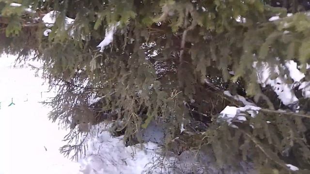 Честный отзыв на Санаторий " Саранский" г. Саранск Мордовия. смотреть онлайн