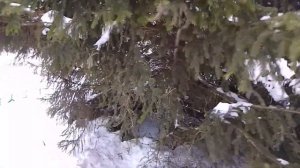 Честный отзыв на Санаторий " Саранский" г. Саранск Мордовия.