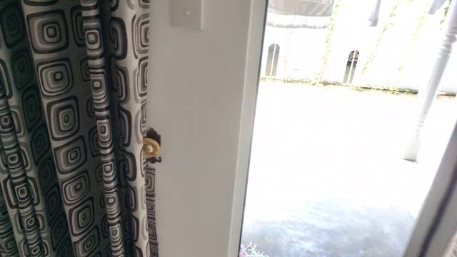 отель-DI SICURO, Шри-Ланка, Хиккадува смотреть онлайн