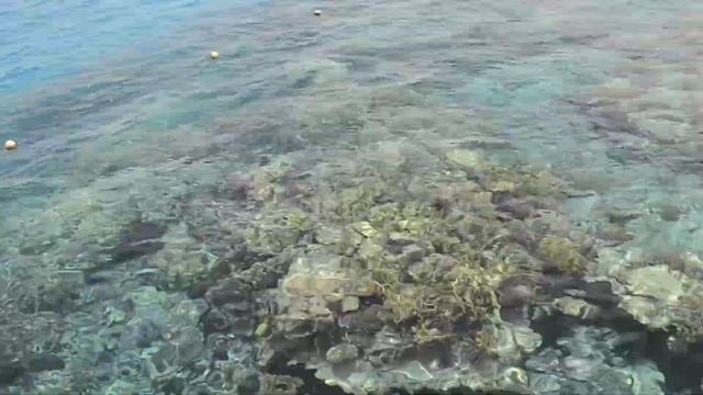 Sunwing Waterworld Makadi 5*.Пирс. смотреть онлайн