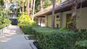 Nai yang Beach resort - большой обзор