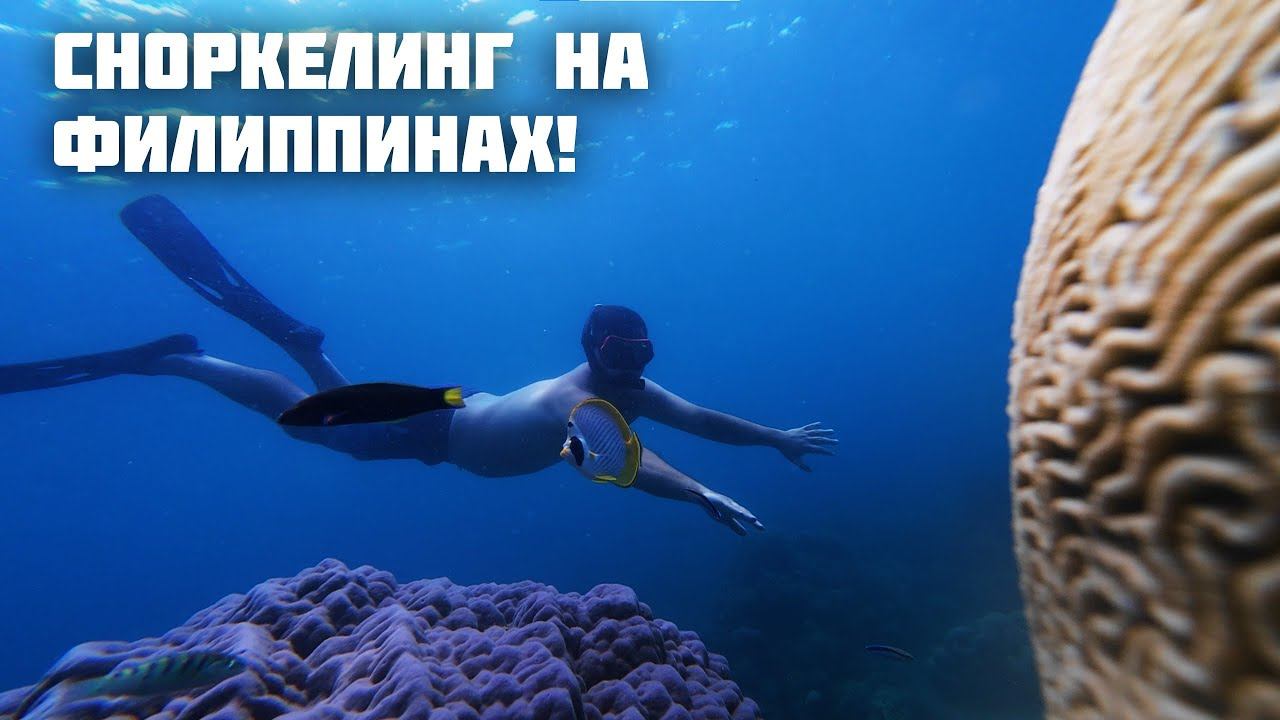 Лучший Сноркелинг На Филиппинах / Посетили Безлимитный Ресторан Корейской Кухни