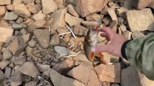 Нереальная рыбалка на Вилюйском море (2 часть)