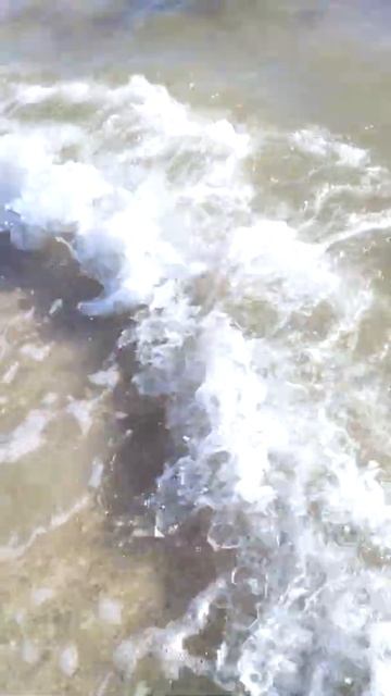 Азовское море, Бердянск, 2 июля 2022. Появились медузы🐙🐙🐙 смотреть онлайн