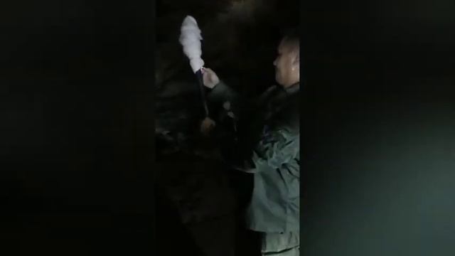 Джизак , Зоомин 1 января 2023 г. смотреть онлайн