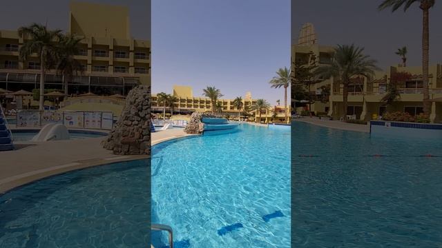 Palm BeachResort Хургада. Прямой эфир у бассейна