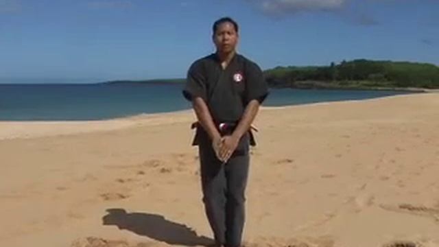 Fearless Tigers Shotokan Karate Tekki Shodan Kata