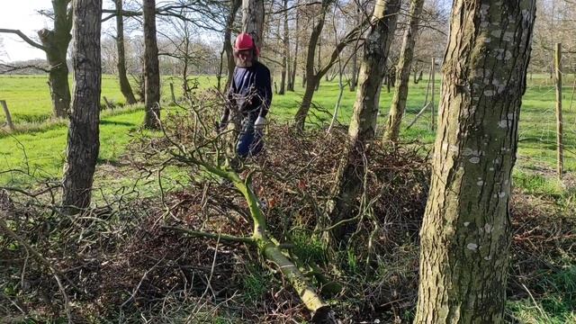 Обед на печи Ветки Стружки