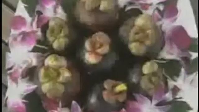 Xango. В чем секрет мангостина.Xango.wmv