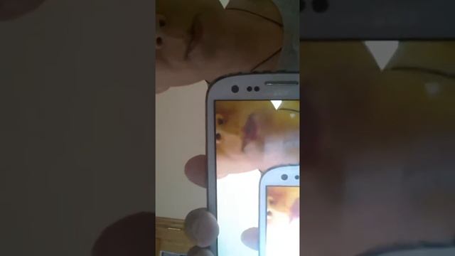 как я отдыхаю в санатории смотреть онлайн
